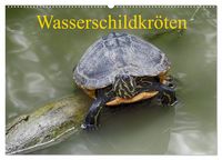 Produktbild: Wasserschildkr&ouml;ten (Wandkalender 2026 DIN A2 quer), CALVENDO Monatskalender