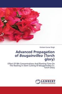 Produktbild: Advanced Propagation of Bougainvillea (Torch glory)