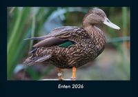Produktbild: Enten 2026 Fotokalender DIN A4
