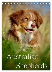 Produktbild: Australian Shepherds (Tischkalender 2026 DIN A5 hoch), CALVENDO Monatskalender