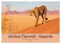 Produktbild: Afrikas Tierwelt - Geparde (Wandkalender 2026 DIN A2 quer), CALVENDO Monatskalender
