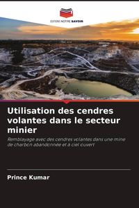 Produktbild: Utilisation des cendres volantes dans le secteur minier
