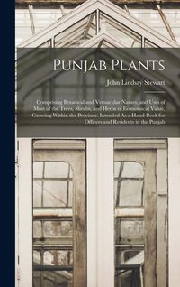 Produktbild: Punjab Plants