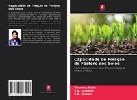 Produktbild: Capacidade de Fixa&ccedil;&atilde;o de F&oacute;sforo dos Solos