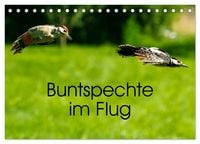 Produktbild: Buntspechte im Flug (Tischkalender 2027 DIN A5 quer), CALVENDO Monatskalender