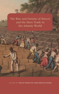 Produktbild: Rise and Demise of Slavery and the Slave Trade in the Atlantic World