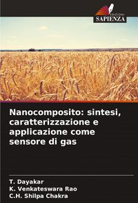 Produktbild: Nanocomposito: sintesi, caratterizzazione e applicazione come sensore di gas