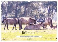 Produktbild: D&uuml;lmen - Wildpferde, Burgen und Schl&ouml;sser (Wandkalender 2026 DIN A2 quer), CALVENDO Monatskalender