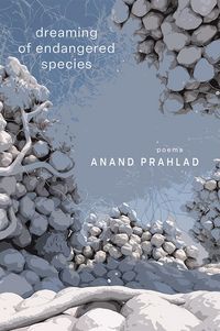 Produktbild: Dreaming of Endangered Species