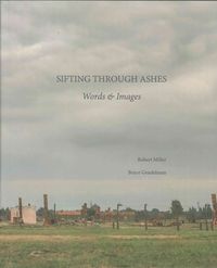 Produktbild: Sifting Through Ashes