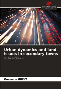 Produktbild: Urban dynamics and land issues in secondary towns