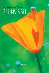 Produktbild: Fili invisibili