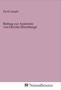 Produktbild: Beitrag zur Anatomie von Herotis Ehrenbergii