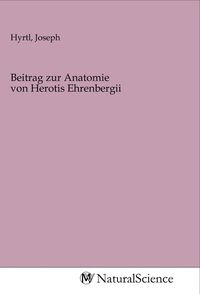 Produktbild: Beitrag zur Anatomie von Herotis Ehrenbergii