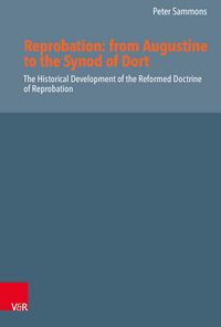 Produktbild: Reprobation: from Augustine to the Synod of Dort