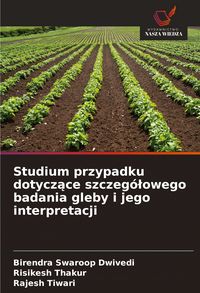Produktbild: Studium przypadku dotycz&iquest;ce szczeg&oacute;&iquest;owego badania gleby i jego interpretacji