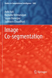 Produktbild: Image Co-segmentation