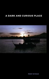 Produktbild: A Dark and Curious Place (Vietnam War Era)