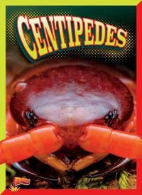Produktbild: Centipedes