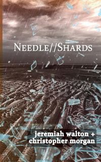 Produktbild: Needle // Shards