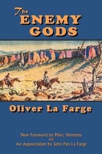Produktbild: The Enemy Gods