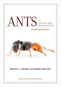 Produktbild: Fisher, B: Ants of Africa and Madagascar