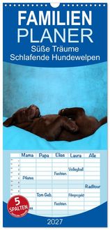 Produktbild: Familienplaner 2027 - S&uuml;&szlig;e Tr&auml;ume 2027 - schlafende Hundewelpen mit 5 Spalten (Wandkalender, 21 x 45 cm) CALVENDO