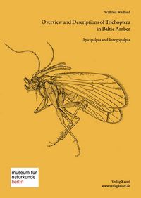 Produktbild: Overview and Description of Trichoptera in Baltic Amber