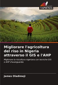 Produktbild: Migliorare l'agricoltura del riso in Nigeria attraverso il GIS e l'AHP