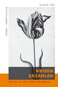 Produktbild: Krisen erz&auml;hlen