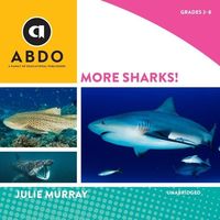 Bild vom Artikel More Sharks! vom Autor Julie Murray