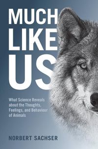 Produktbild: Much Like Us