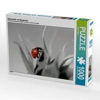 Produktbild: CALVENDO Puzzle Gl&uuml;cksk&auml;fer mit Morgentau | 1000 Teile Lege-Gr&ouml;&szlig;e 64x48cm Foto-Puzzle f&uuml;r gl&uuml;ckliche Stunden