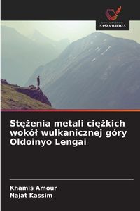 Produktbild: St&iquest;&iquest;enia metali ci&iquest;&iquest;kich wok&oacute;&iquest; wulkanicznej g&oacute;ry Oldoinyo Lengai