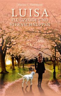 Produktbild: Luisa - Flugzeuge und Sternschnuppen