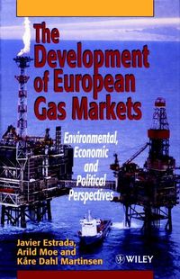 Produktbild: The Development of European Gas Markets