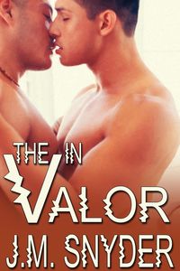 Bild vom Artikel V: The V in Valor vom Autor J. M. Snyder
