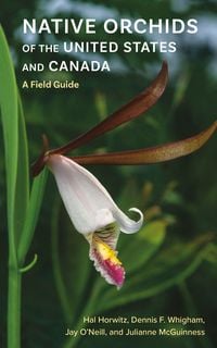 Produktbild: Native Orchids of the United States and Canada