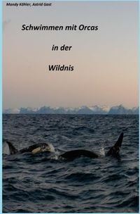 Produktbild: Schwimmen mit Orcas in der Wildnis