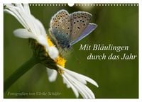 Produktbild: Mit Bl&auml;ulingen durch das Jahr (Wandkalender 2027 DIN A3 quer), CALVENDO Monatskalender
