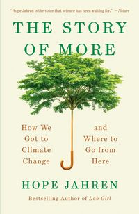 Produktbild: The Story of More