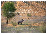 Produktbild: Auf Pirschfahrt im Kgalagadi Transfrontier Park (Wandkalender 2027 DIN A2 quer), CALVENDO Monatskalender