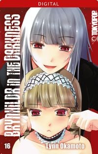 Produktbild: Brynhildr in the Darkness 16