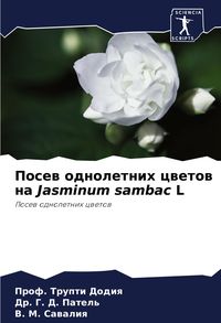 Produktbild: Posew odnoletnih cwetow na Jasminum sambac L