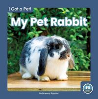 Produktbild: My Pet Rabbit