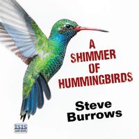 Produktbild: Shimmer of Hummingbirds, A