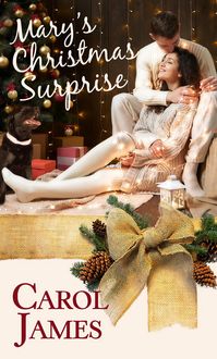 Produktbild: Mary's Christmas Surprise