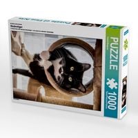 Produktbild: CALVENDO Puzzle Ein Motiv aus dem Kalender Stubentiger 1000 Teile Puzzle hoch | 1000 Teile Lege-Gr&ouml;&szlig;e 64 &times; 48 cm Foto-Puzzle f&uuml;r gl&uuml;ckliche Stunden