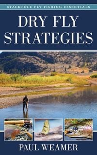 Produktbild: Dry Fly Strategies
