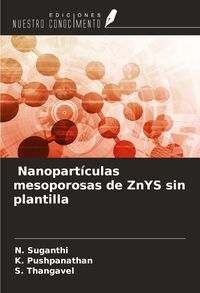 Produktbild: Nanopart&iacute;culas mesoporosas de ZnYS sin plantilla